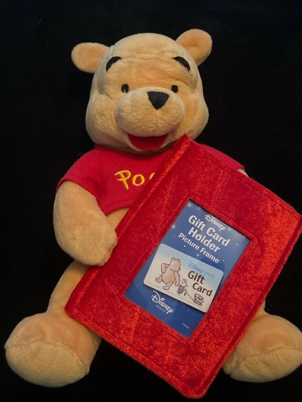 Disney Frame Plush Winnie the Pooh in Red Shirt